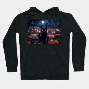 Sleek black cat in a pumpkin patch Hoodie